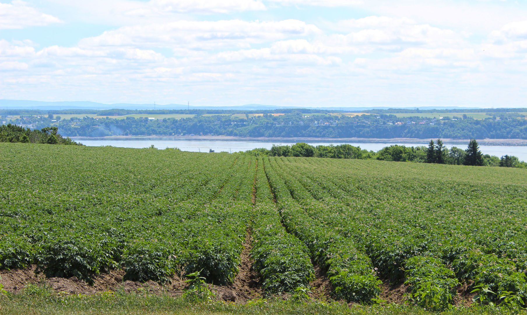 2014-IledOrleans005 Farms in Ile d'Orleans
