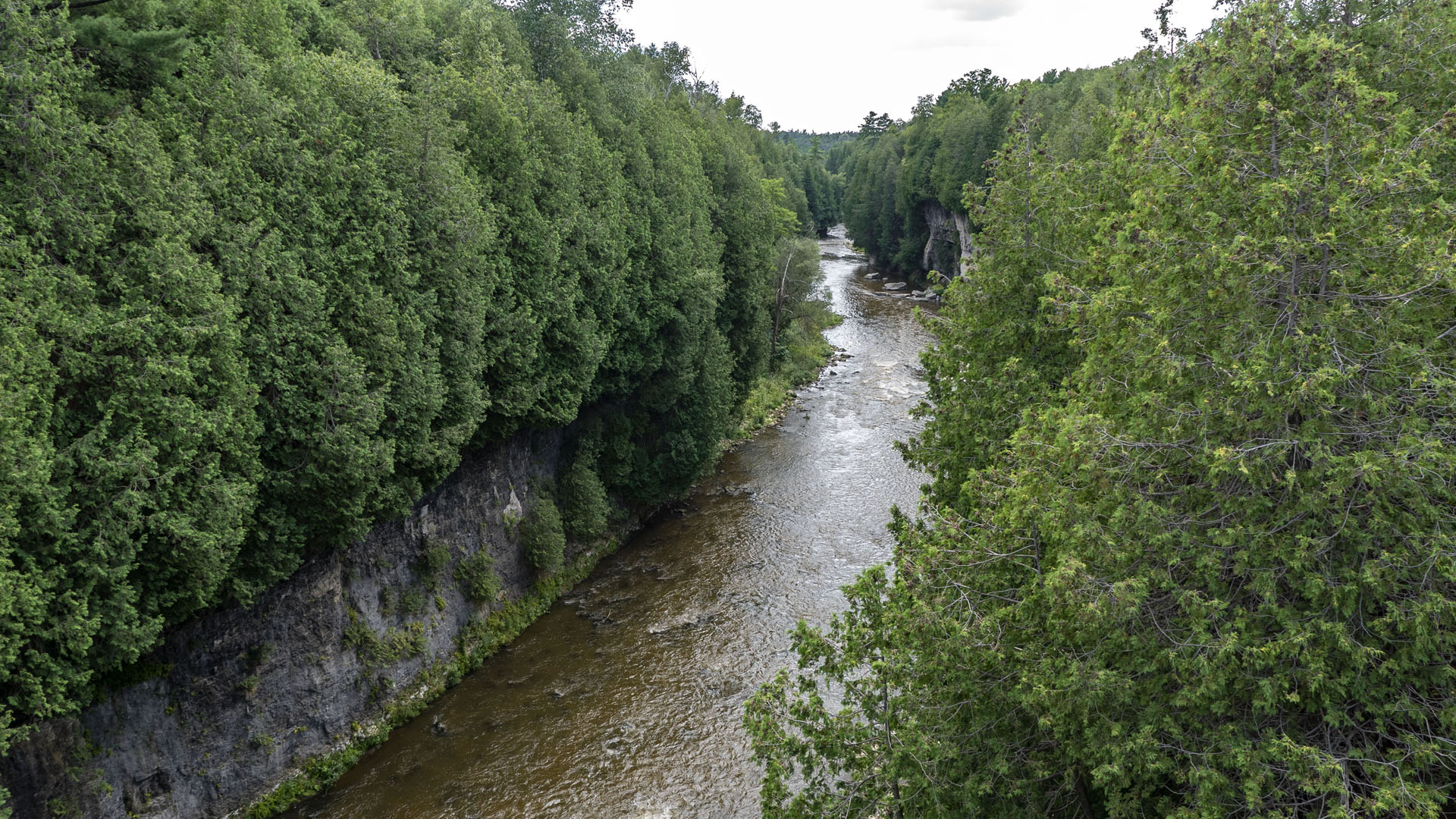 Elora Gorge Lookout