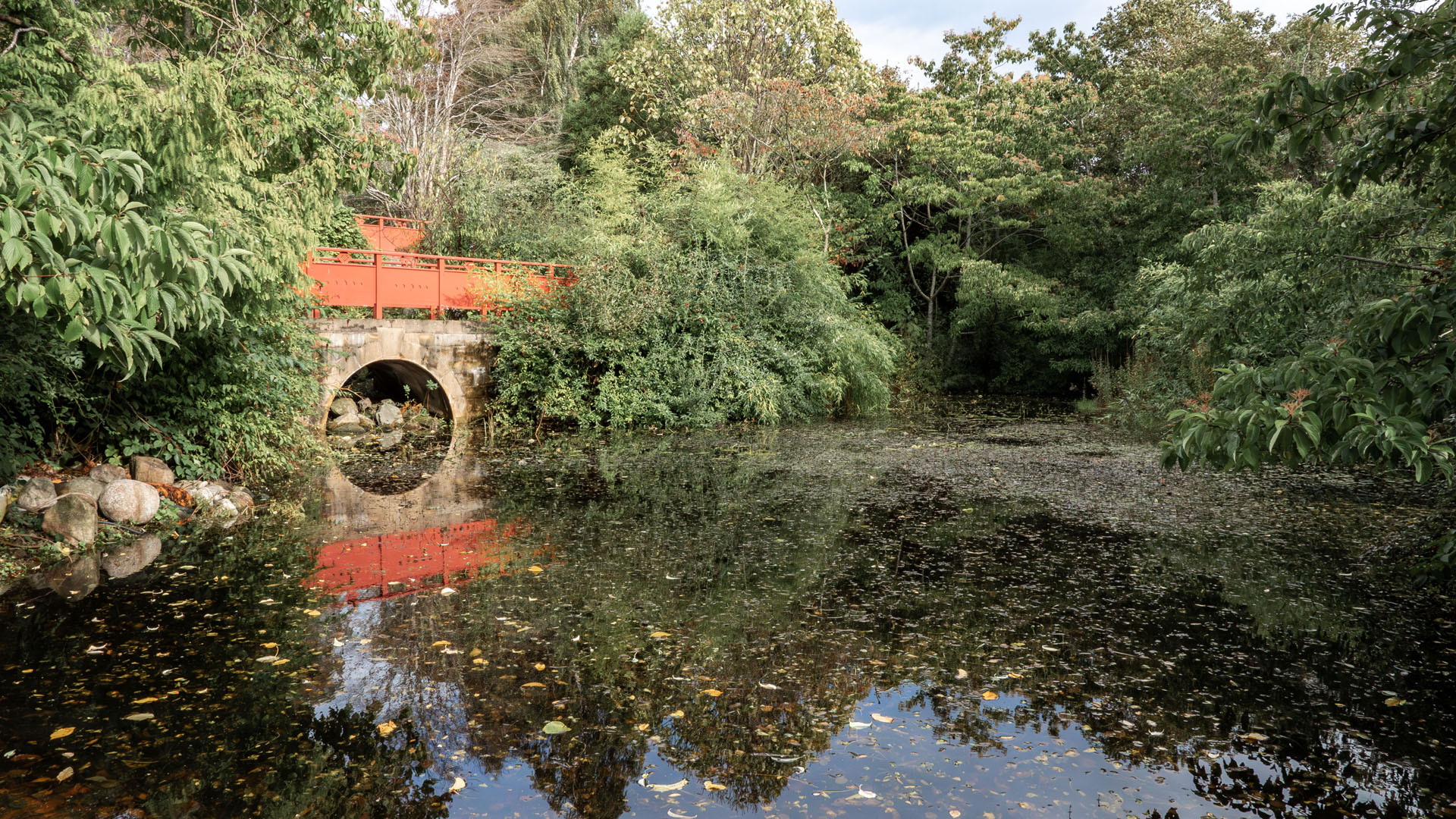 Royal Botanic Garden Edinburgh