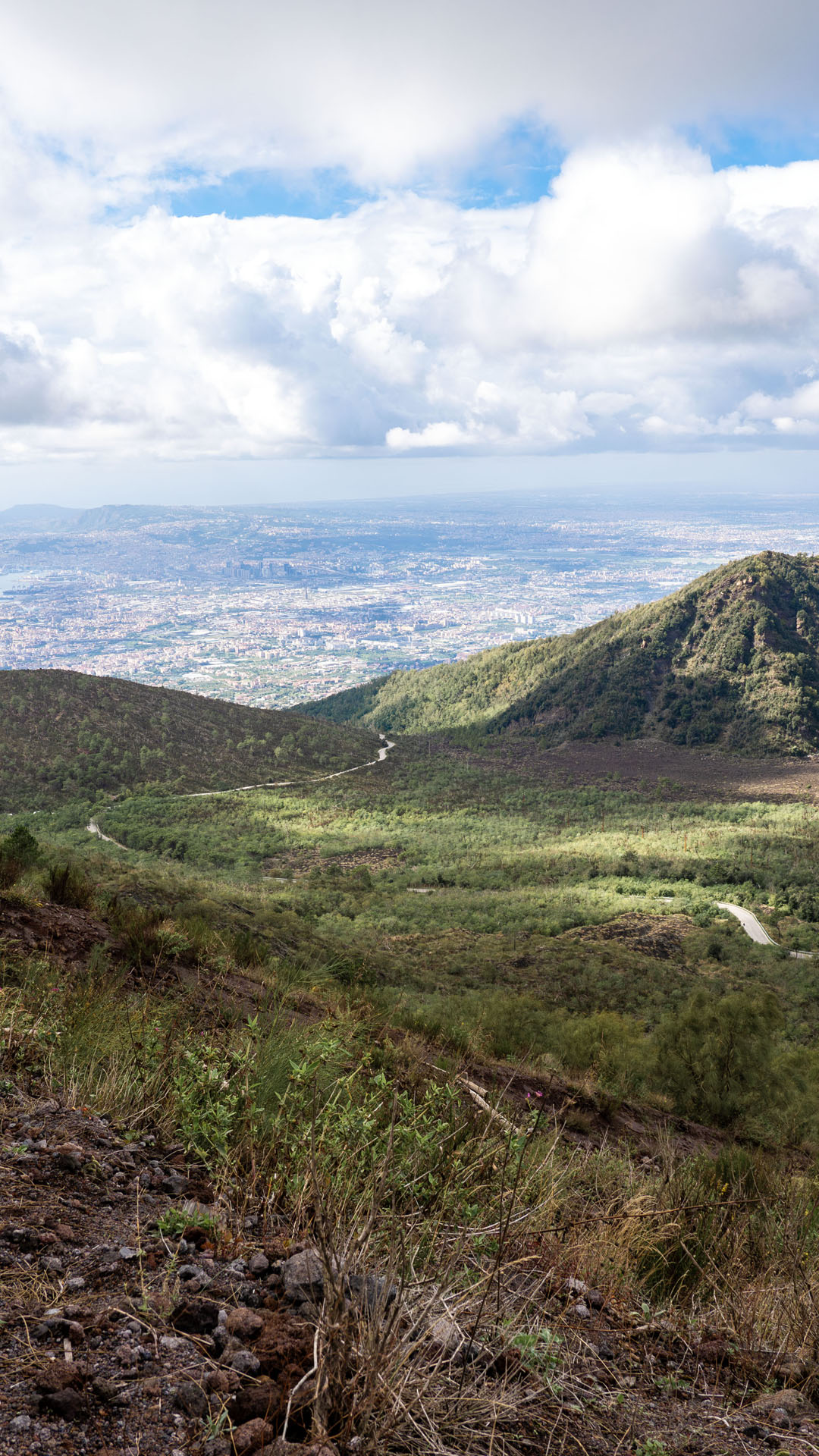 Views of Naples from Vesuvius