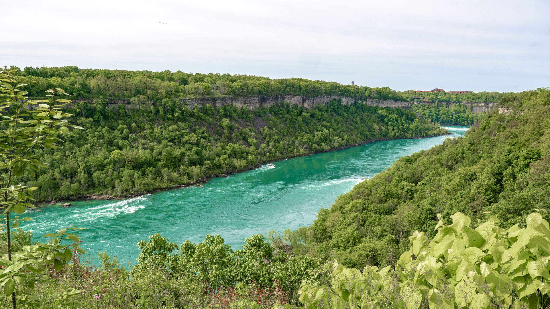 Niagara Glen