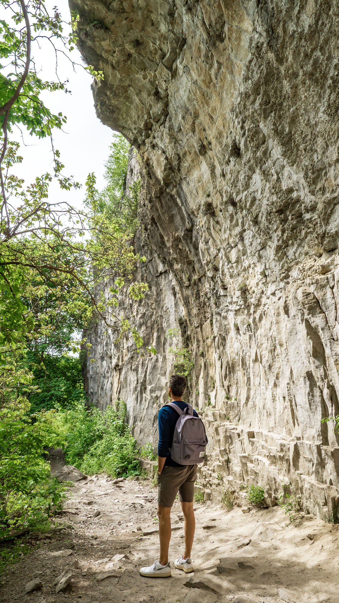 Niagara Glen