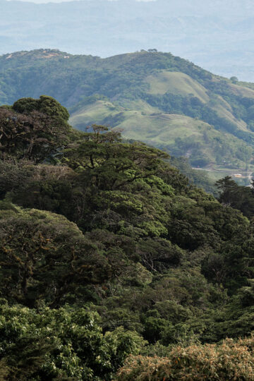 Central America