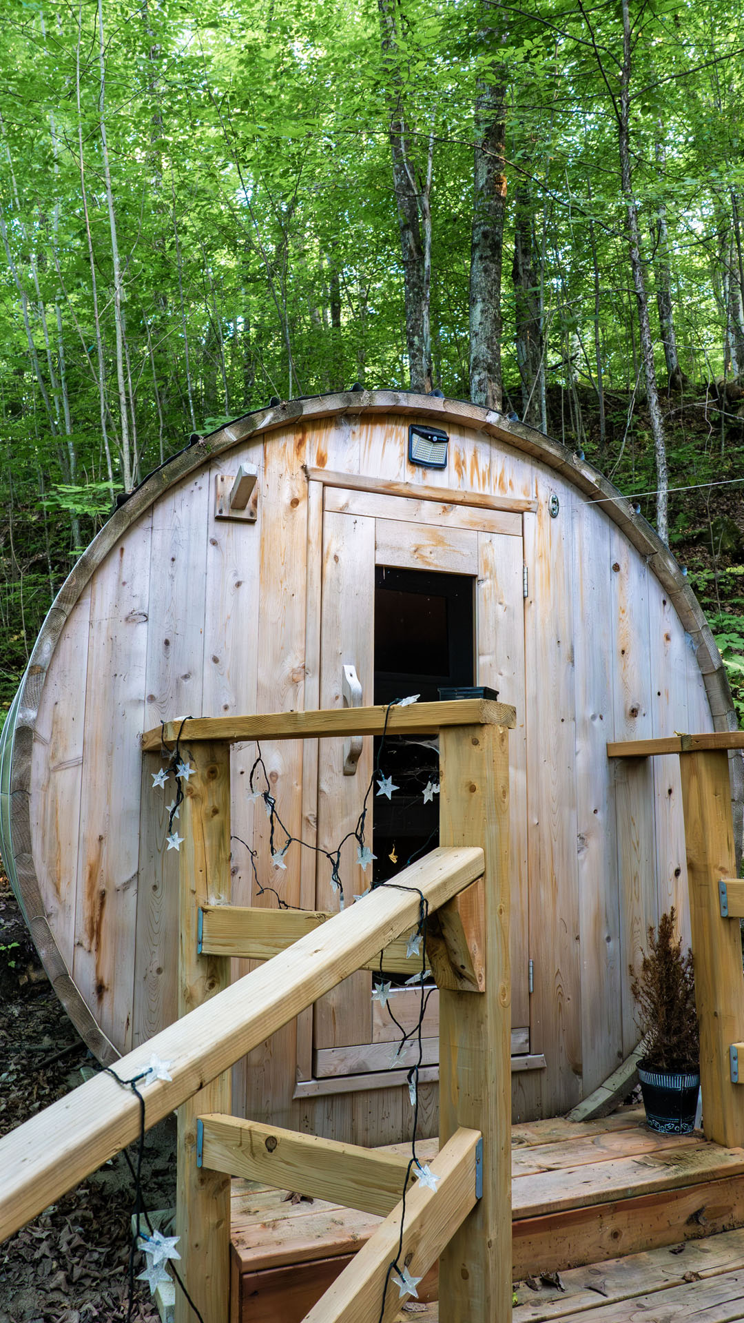 Natural Resting Point (Geodesic Dome)