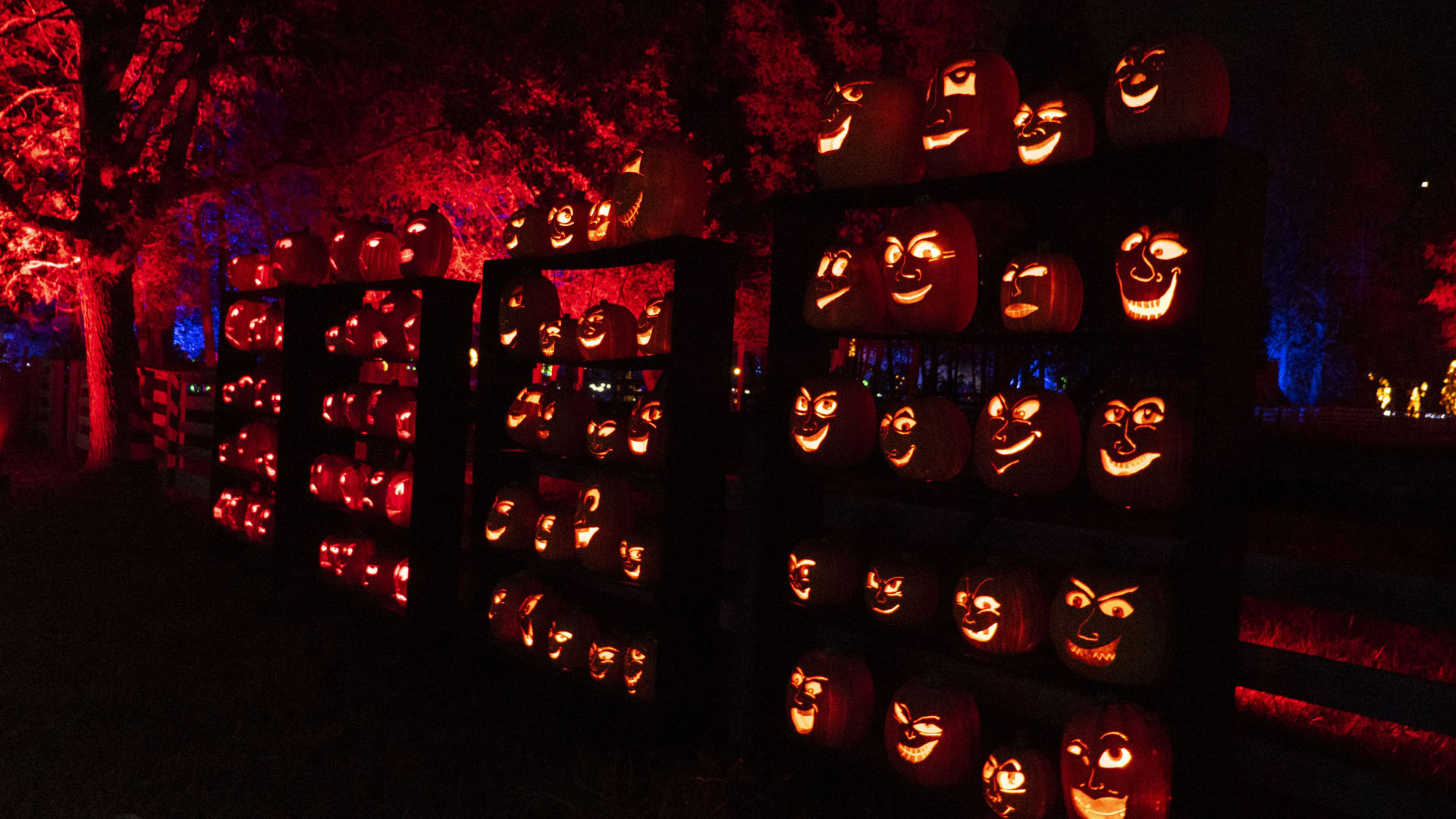 Pumpkinferno - Pumpkin lantern festival