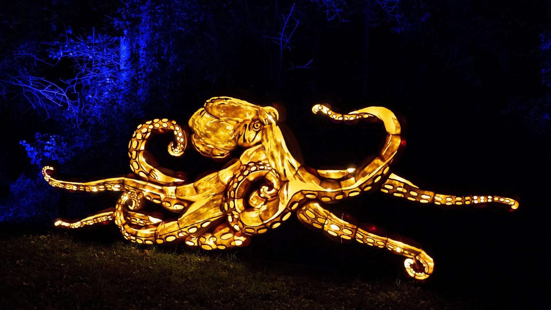 Pumpkinferno: Creatures of the Current