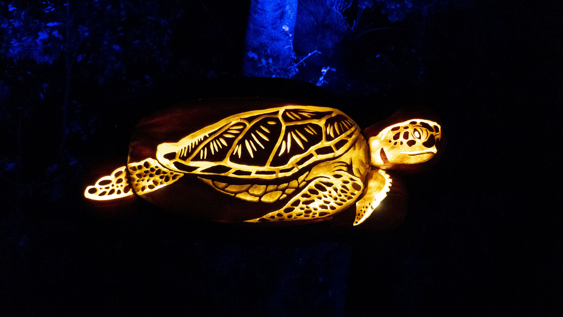 Pumpkinferno: Creatures of the Current