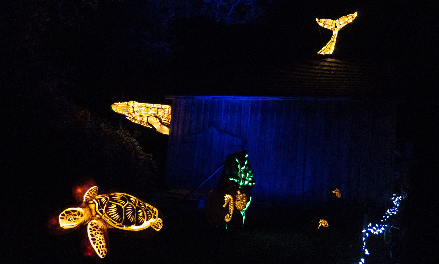 Pumpkinferno: Creatures of the Current
