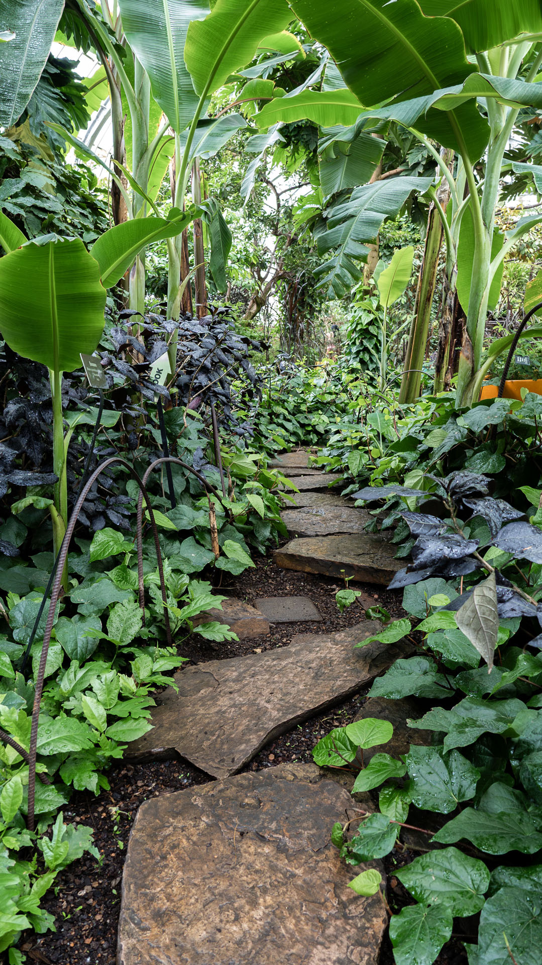 Garfield Park Conservatory
