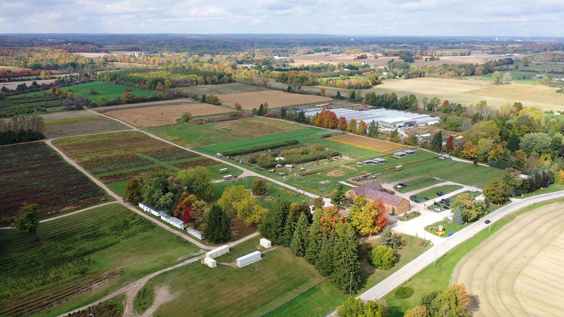 Andrews Farm
