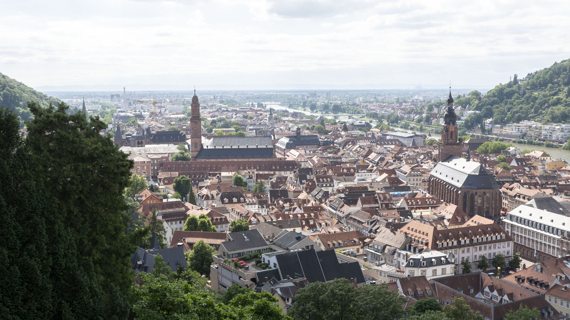Heidelberg
