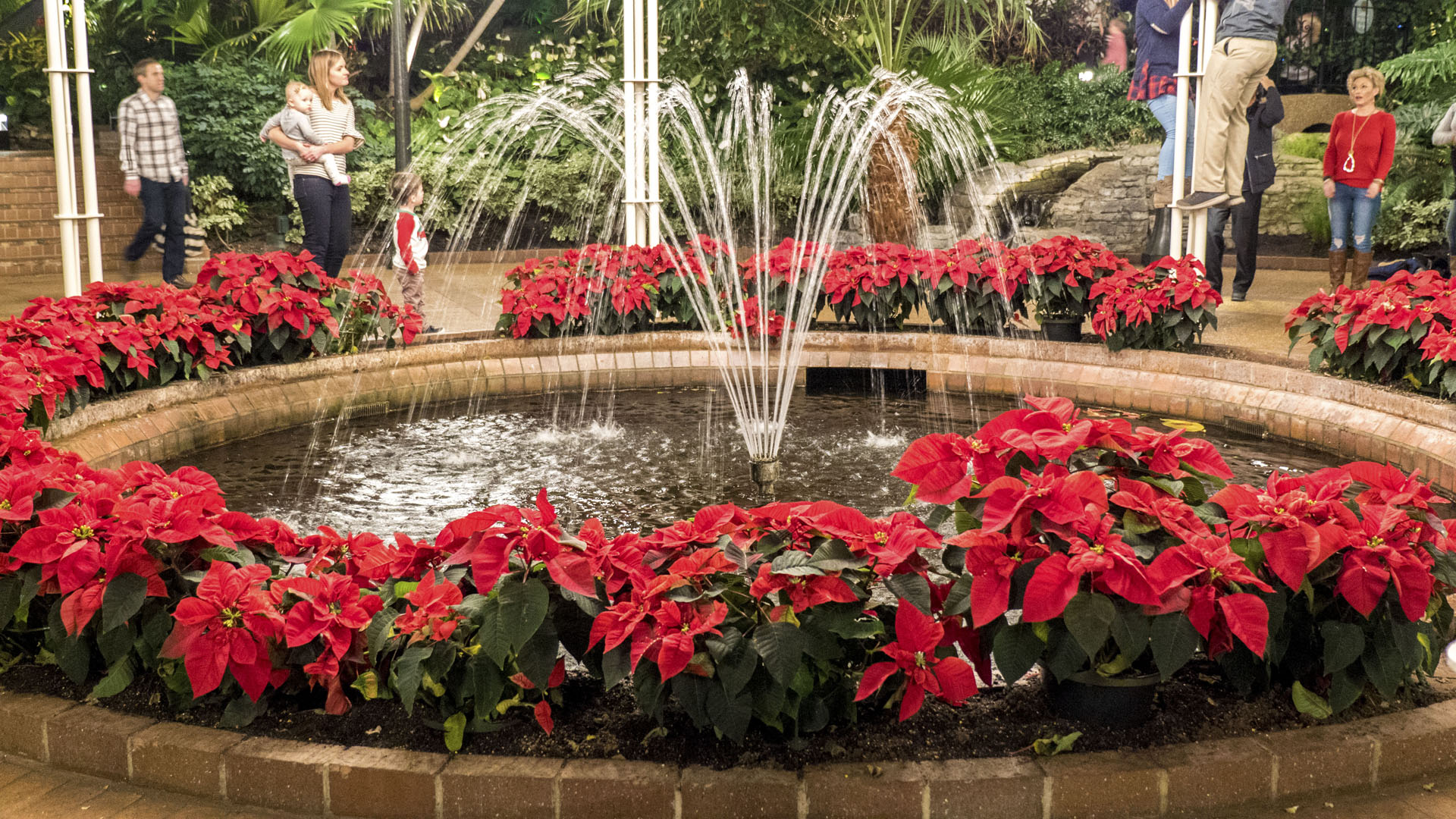 Christmas at Gaylord Opryland
