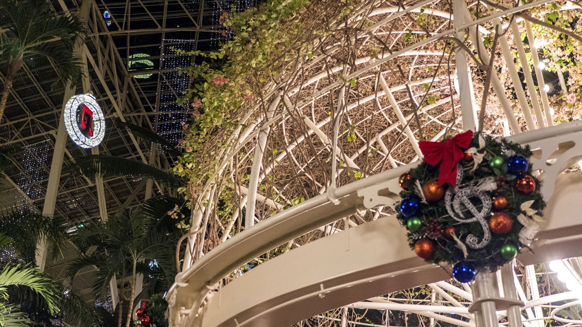 Christmas at Gaylord Opryland