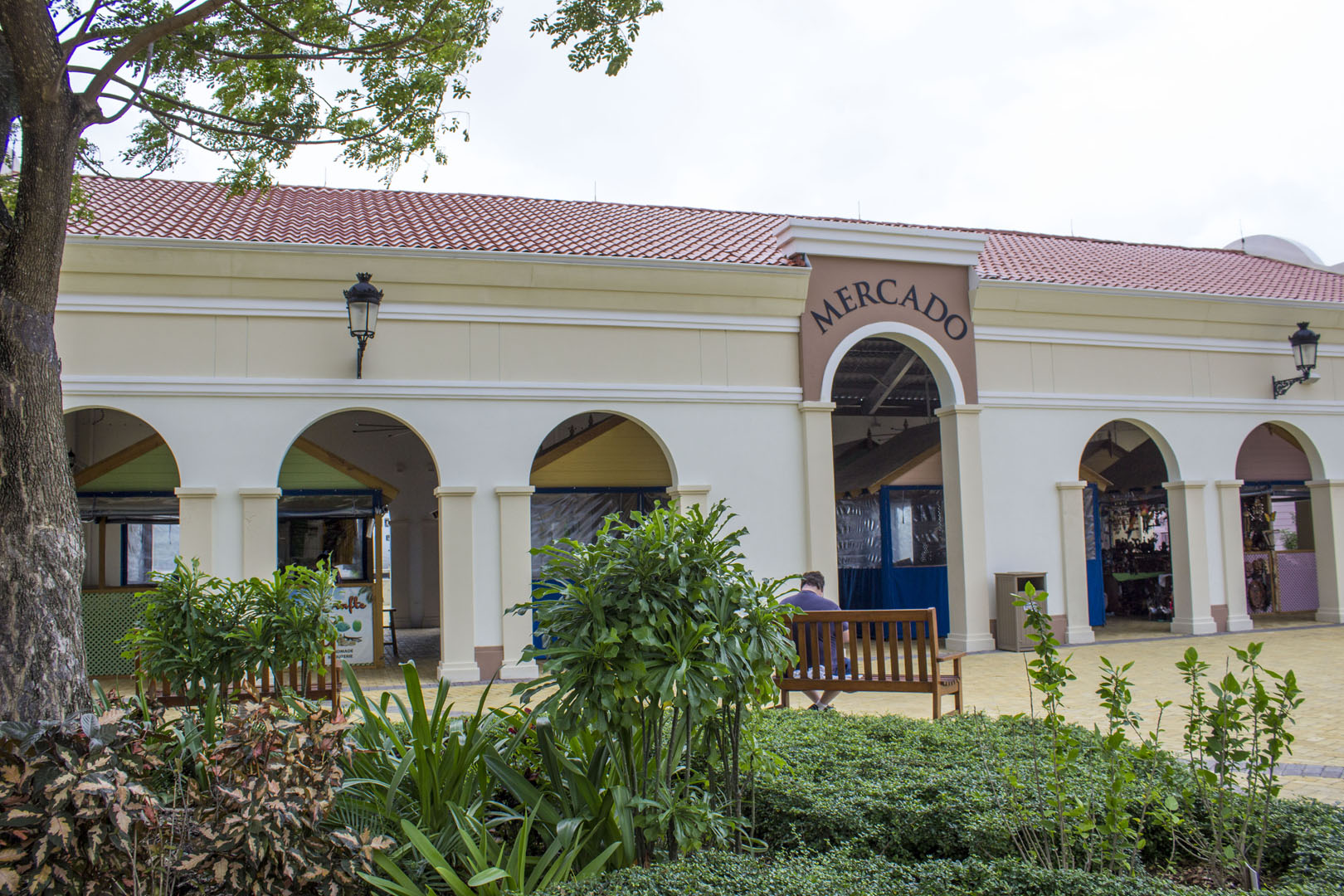 Mercado Amber Cove