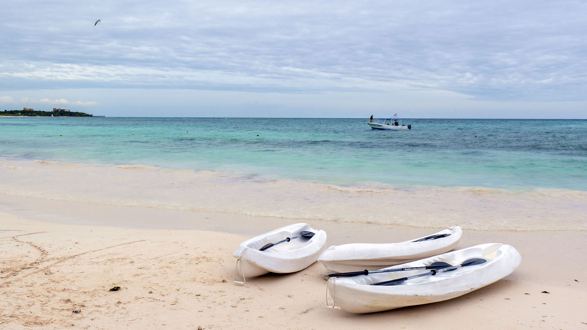 Beach at Grand Palladium Riviera Maya