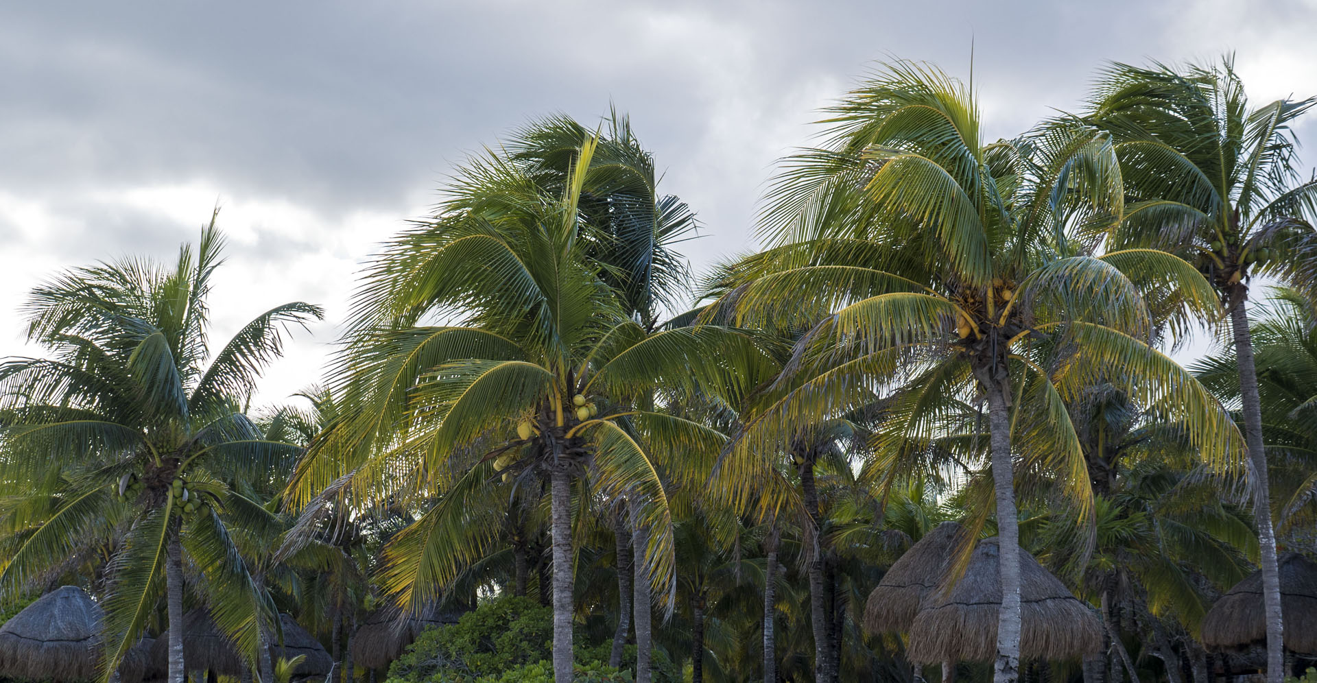TRS Yucatan Pool Private Beach