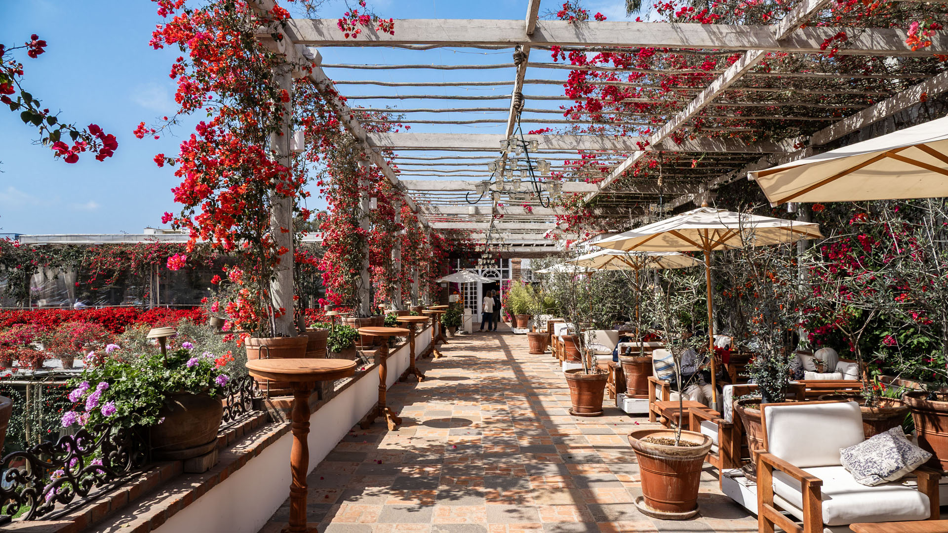 Cafe Museo Larco