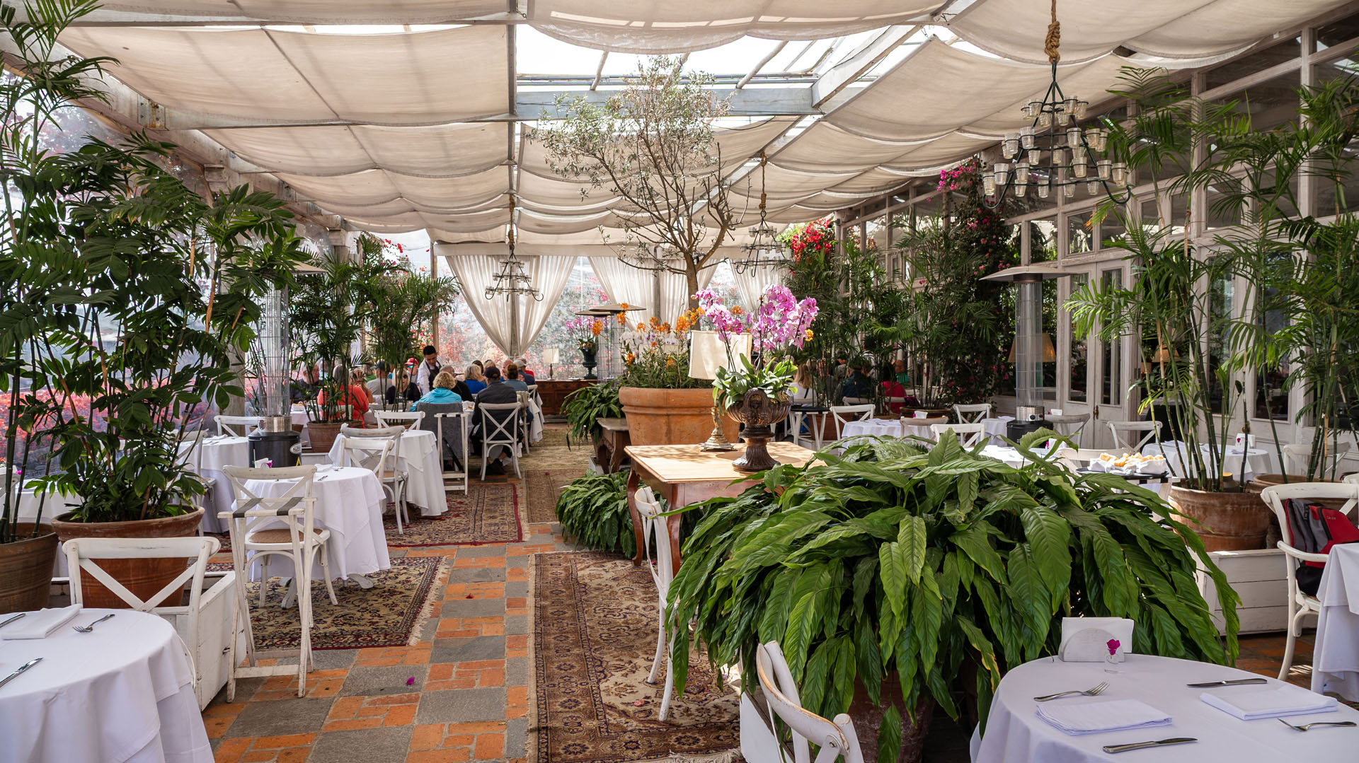 Cafe Museo Larco
