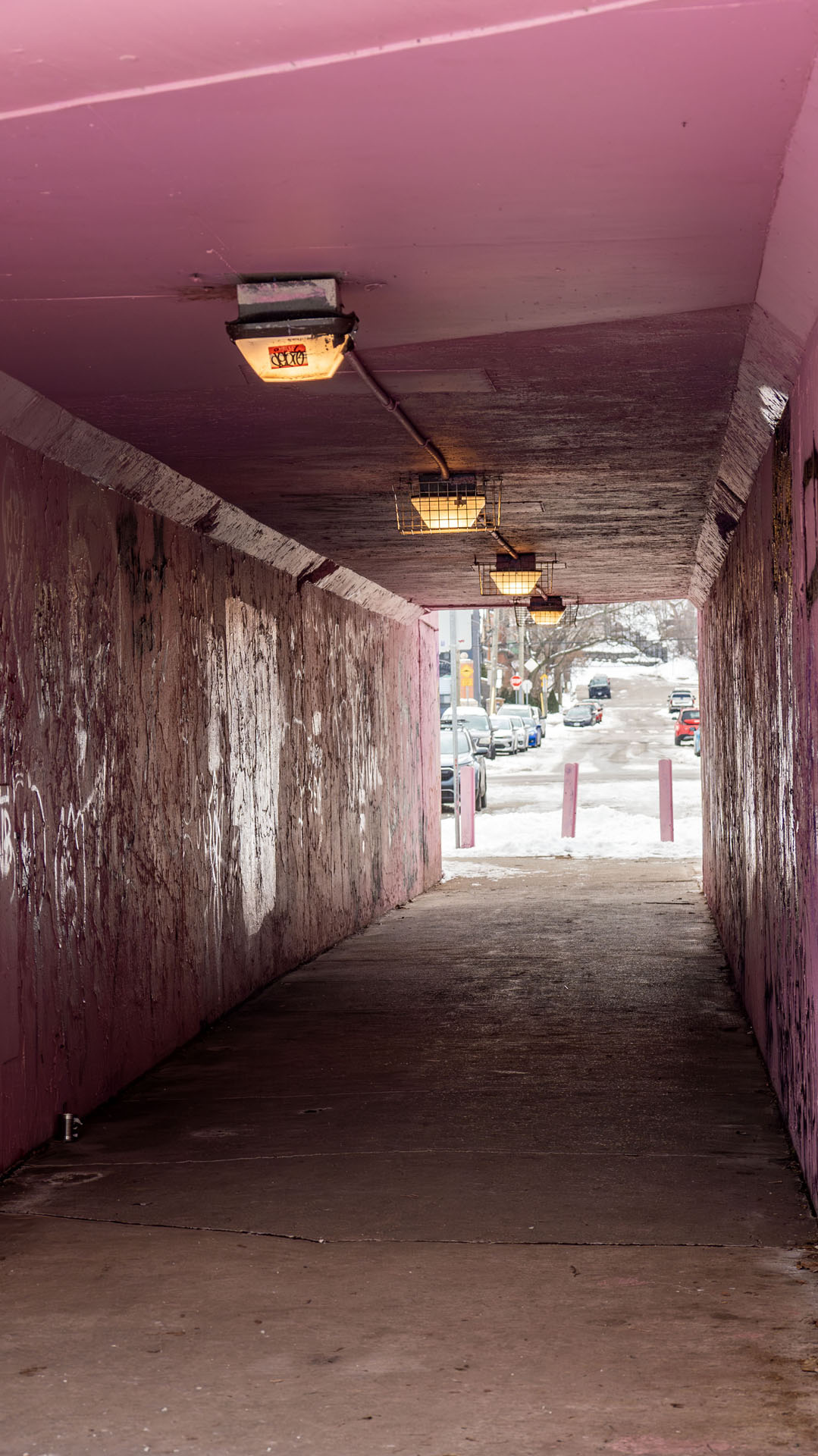 Pink Tunnel at Shamrock Park