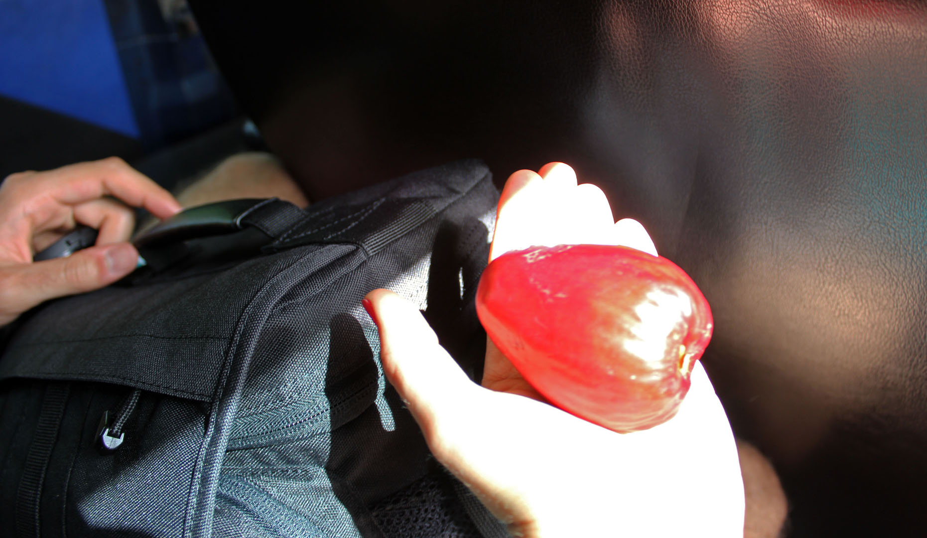 Cashew fruit