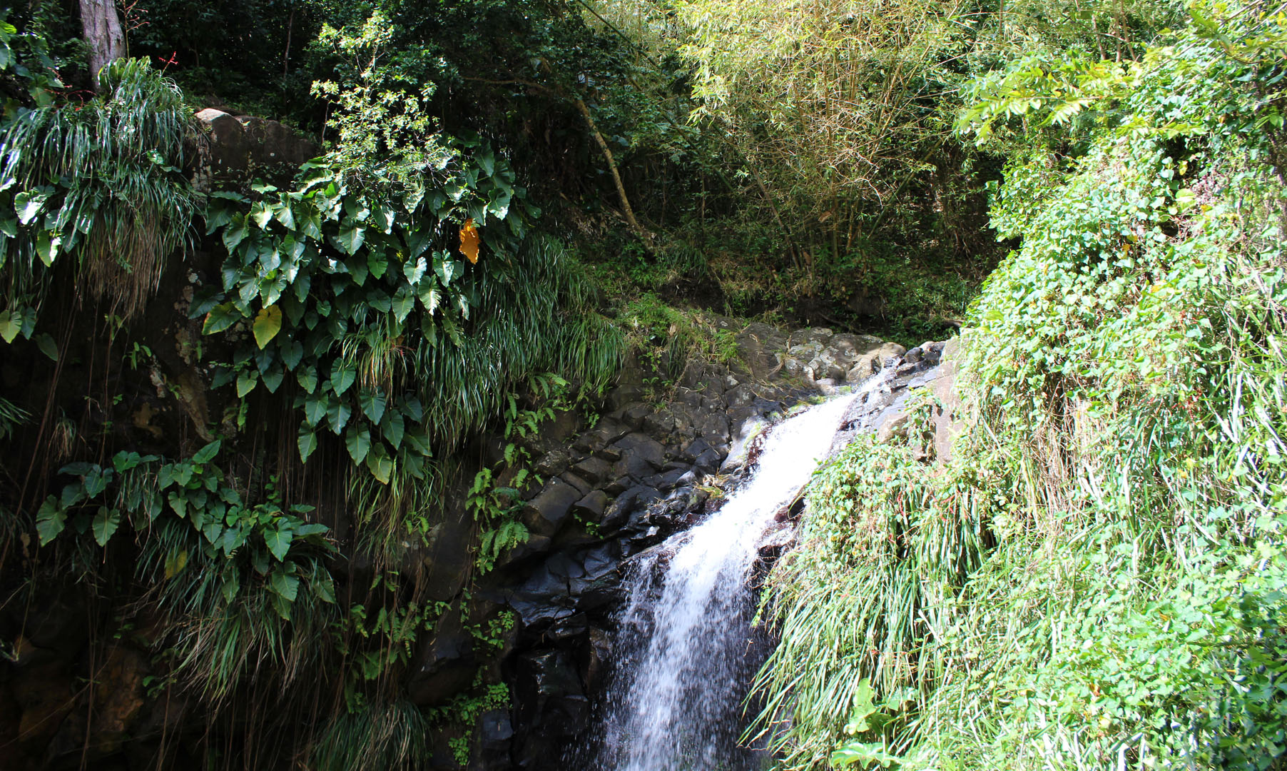 Annandale Falls