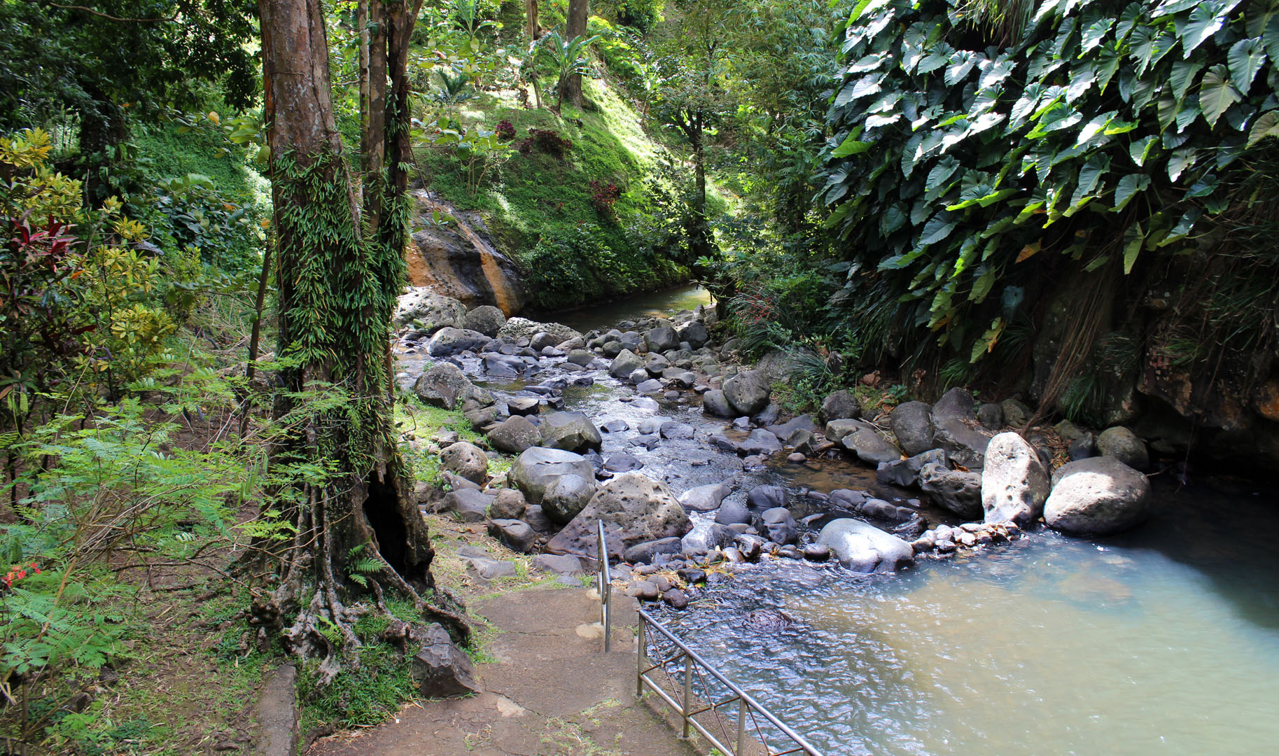 Annandale Falls