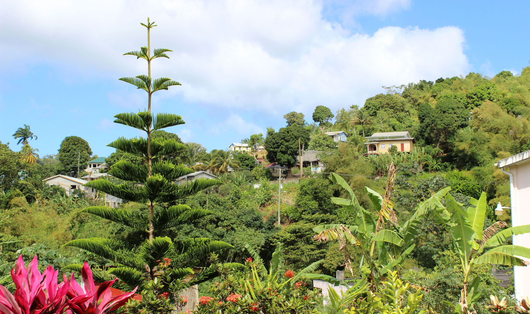 Grenada, Caribbean