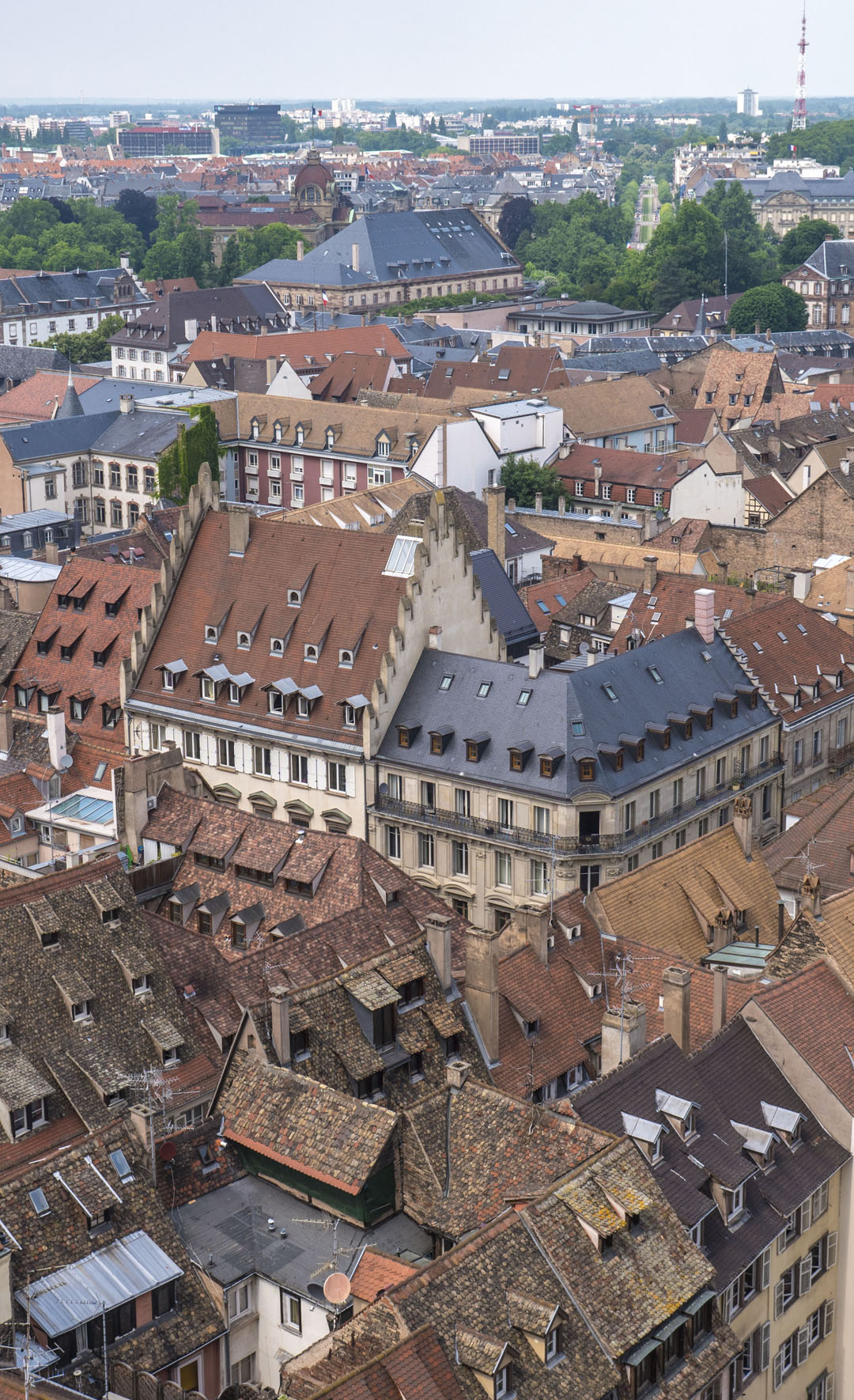 Top of the Strasbourg Cathedral