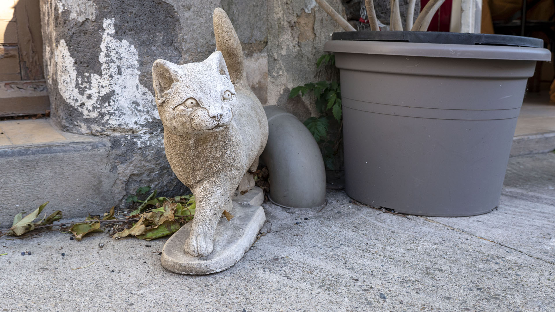 Cat statue
