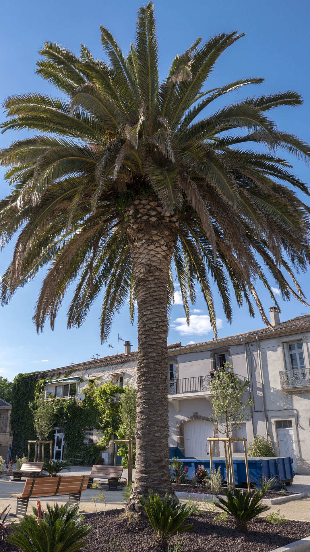Port of Marseillan France