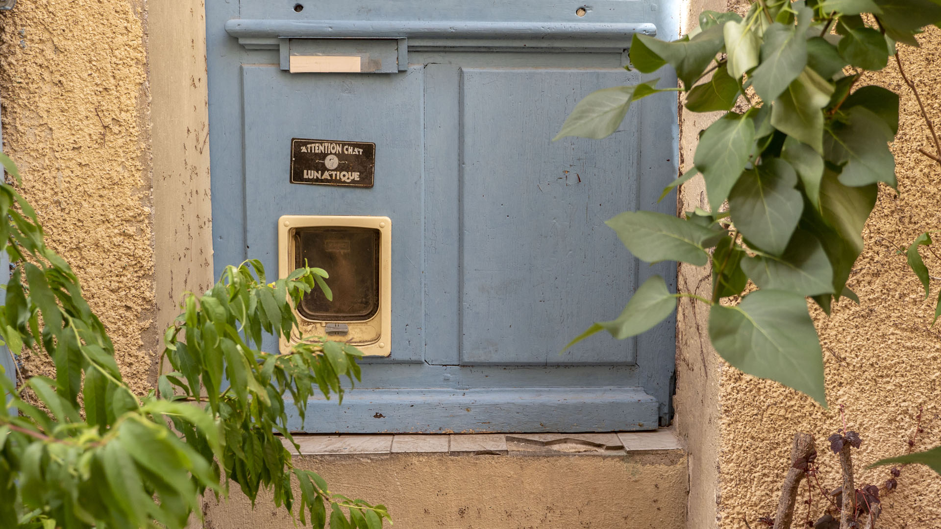 Attention Chat Lunatique - Pezenas, France
