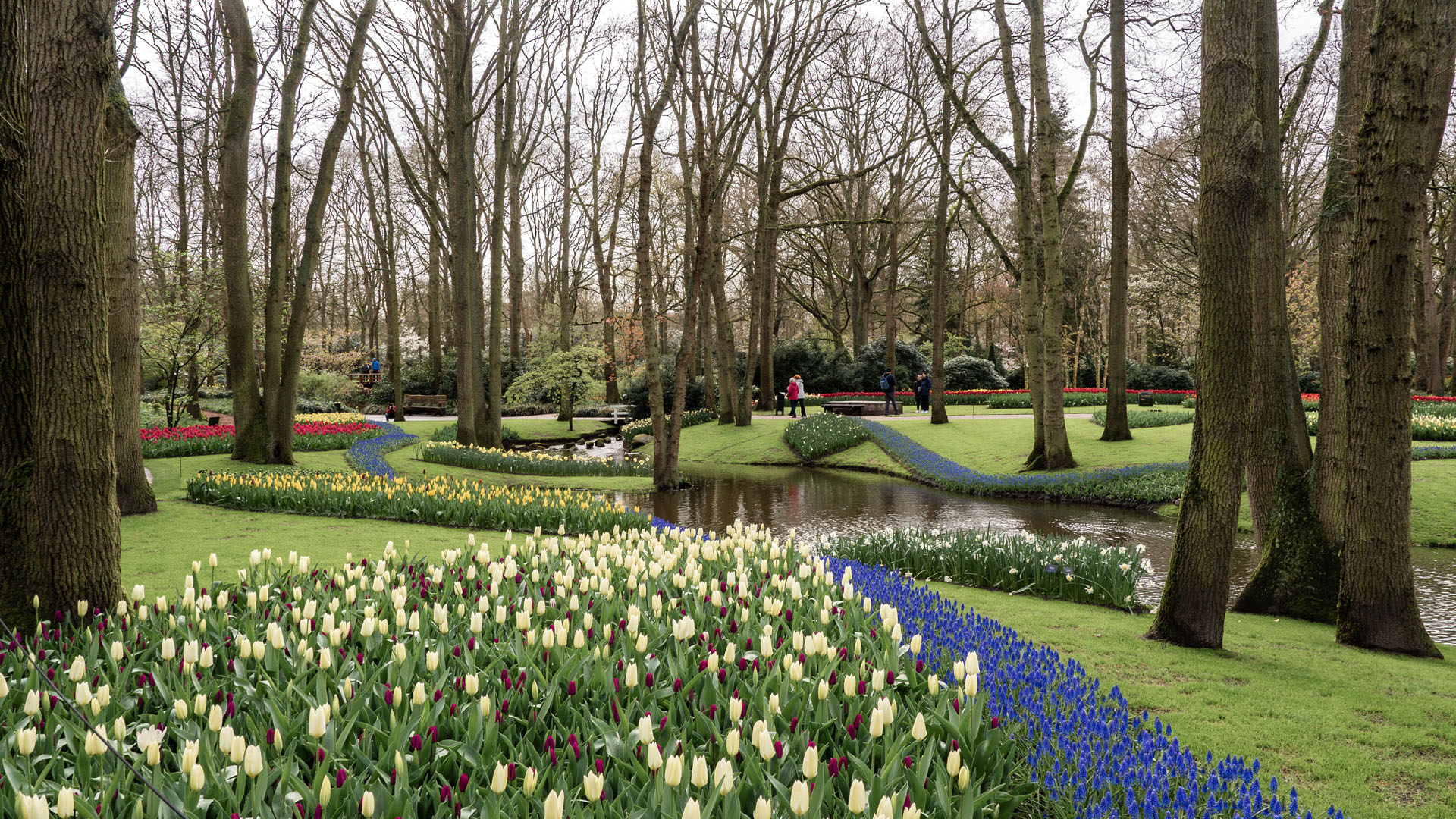 Keukenhof
