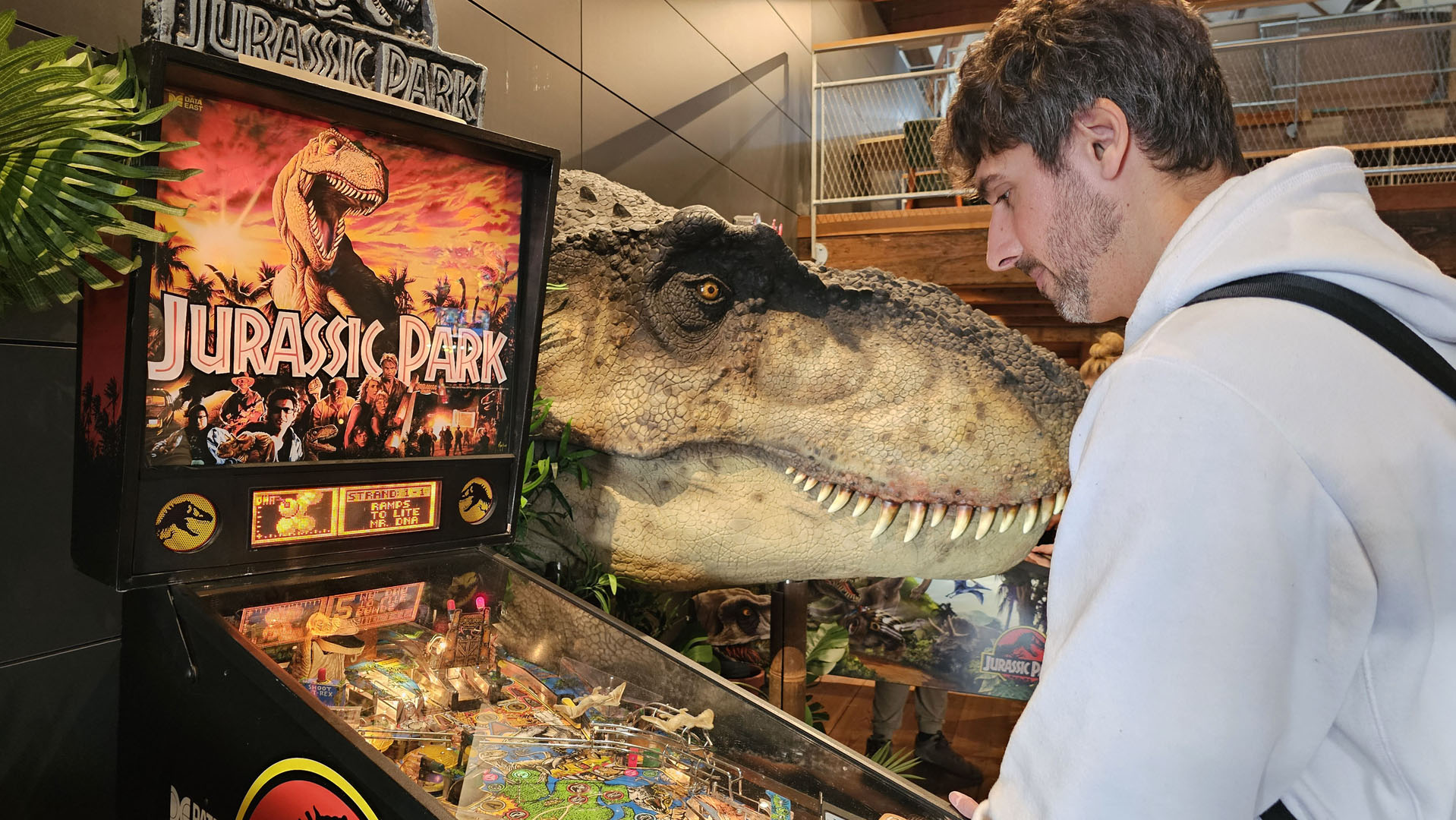 Dutch Pinball Museum