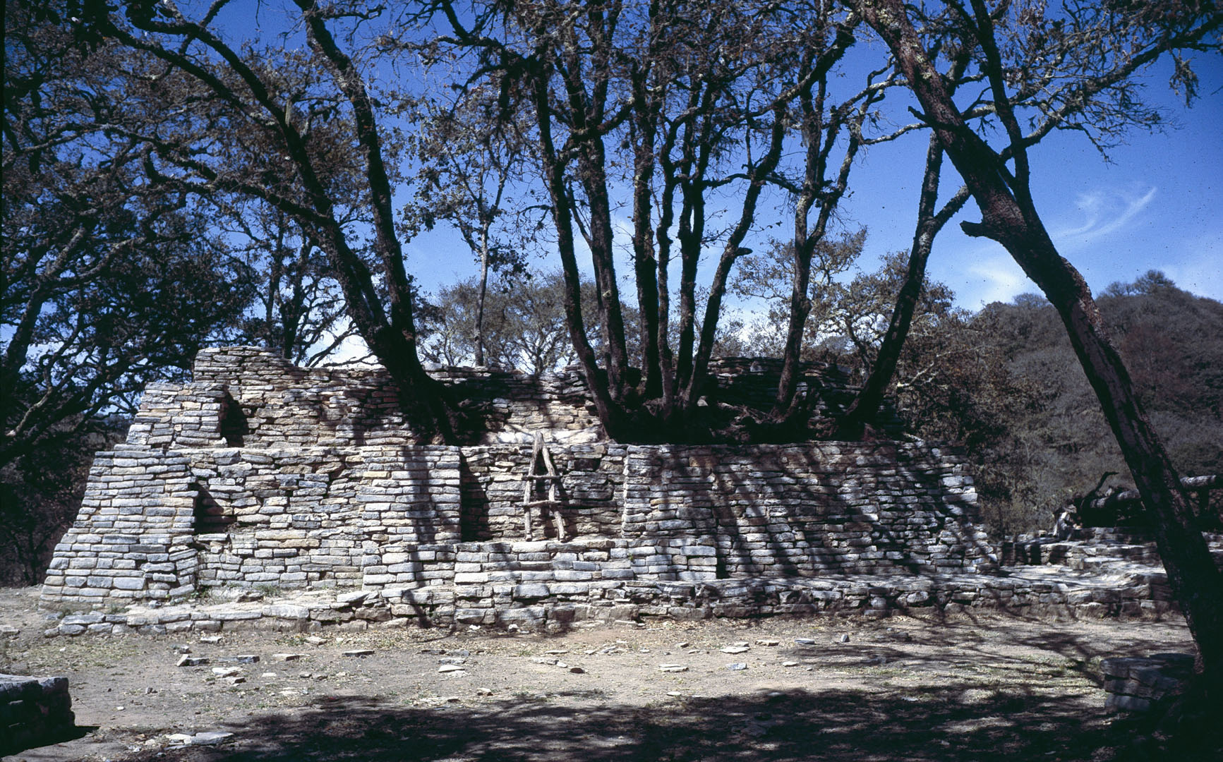 Las Ranas