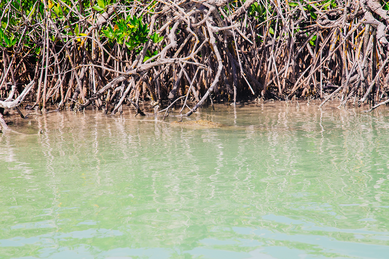 Sian Ka'an Biosphere Reserve