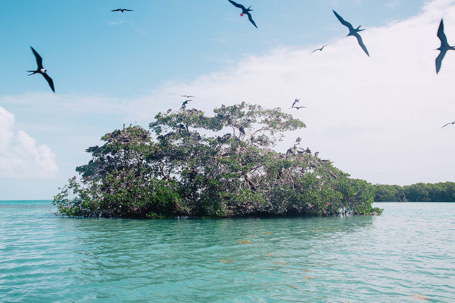 Sian Ka'an Biosphere Reserve in Riviera Maya Mexico