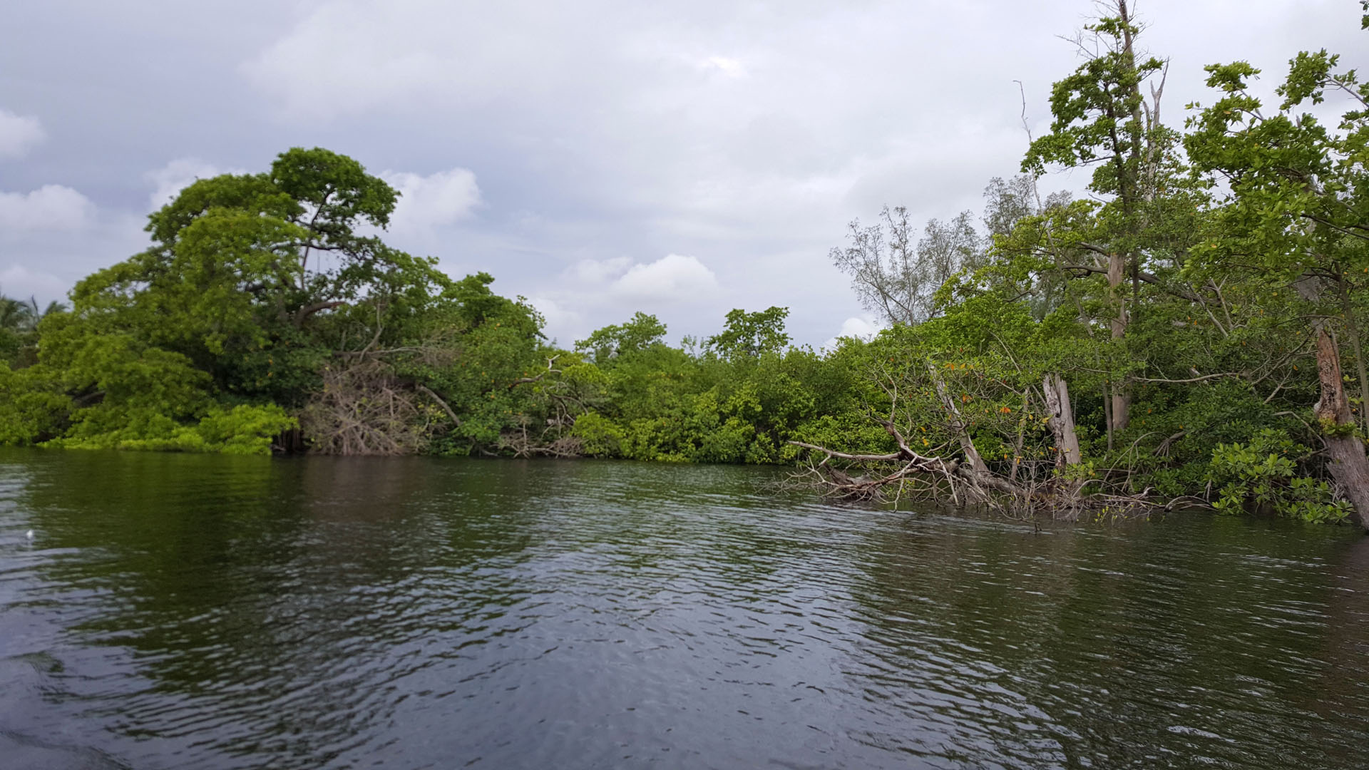 The Middle River