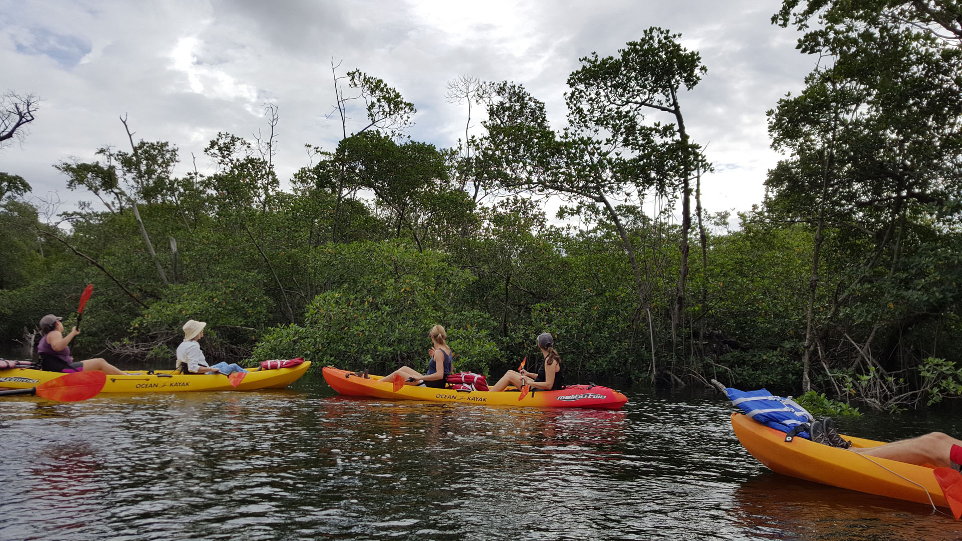Kayaking on the Middle River, Fort Lauderdale