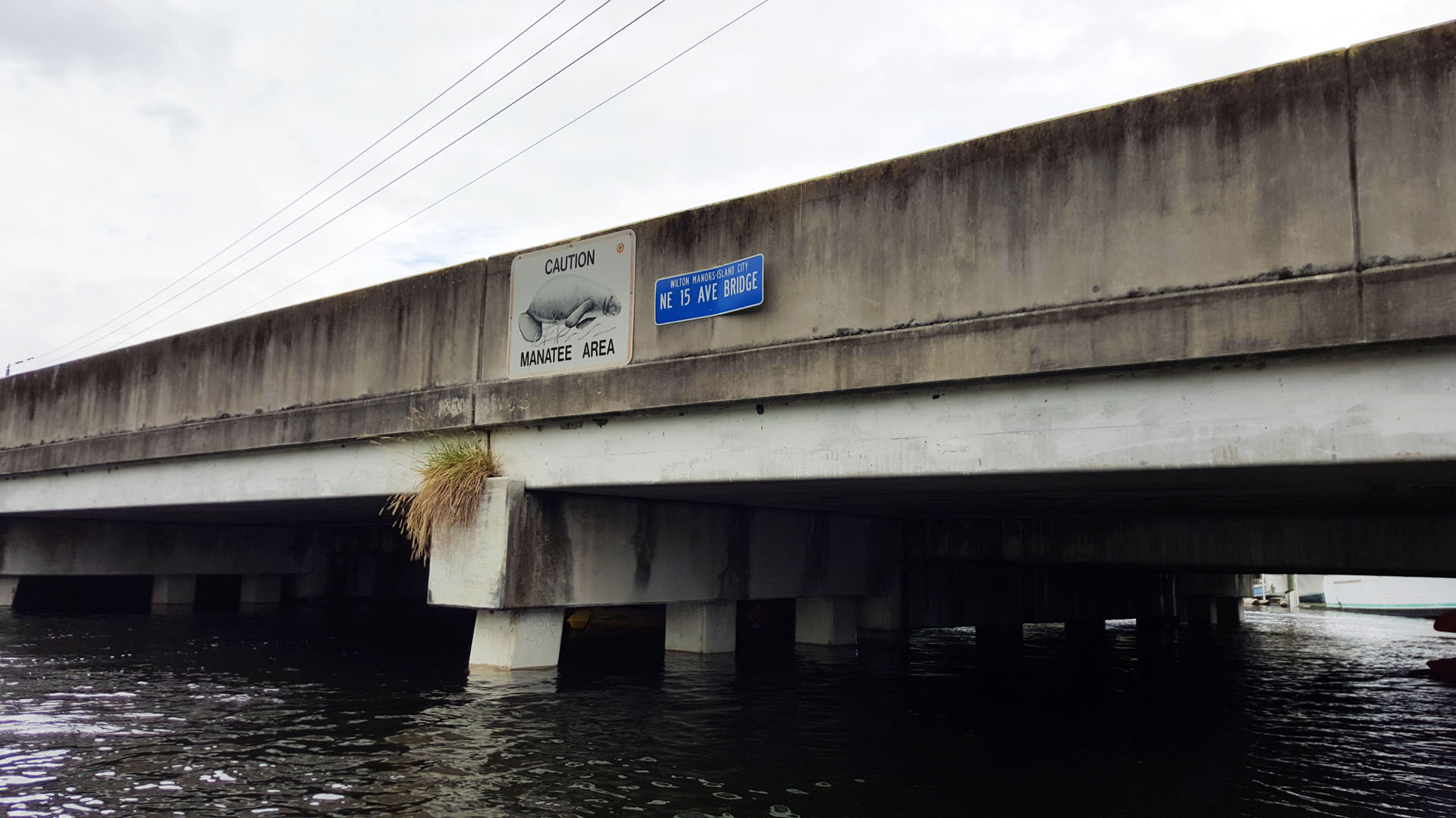 Bridges - Watch for manatees!