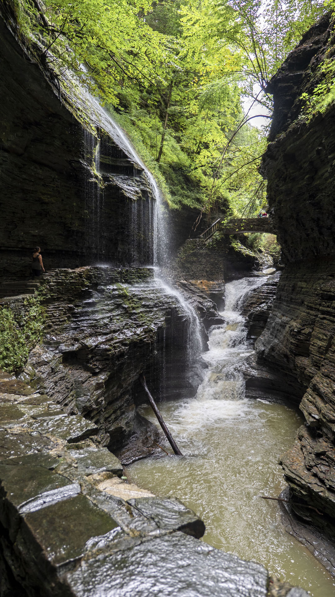 Watkins Glen Gorge