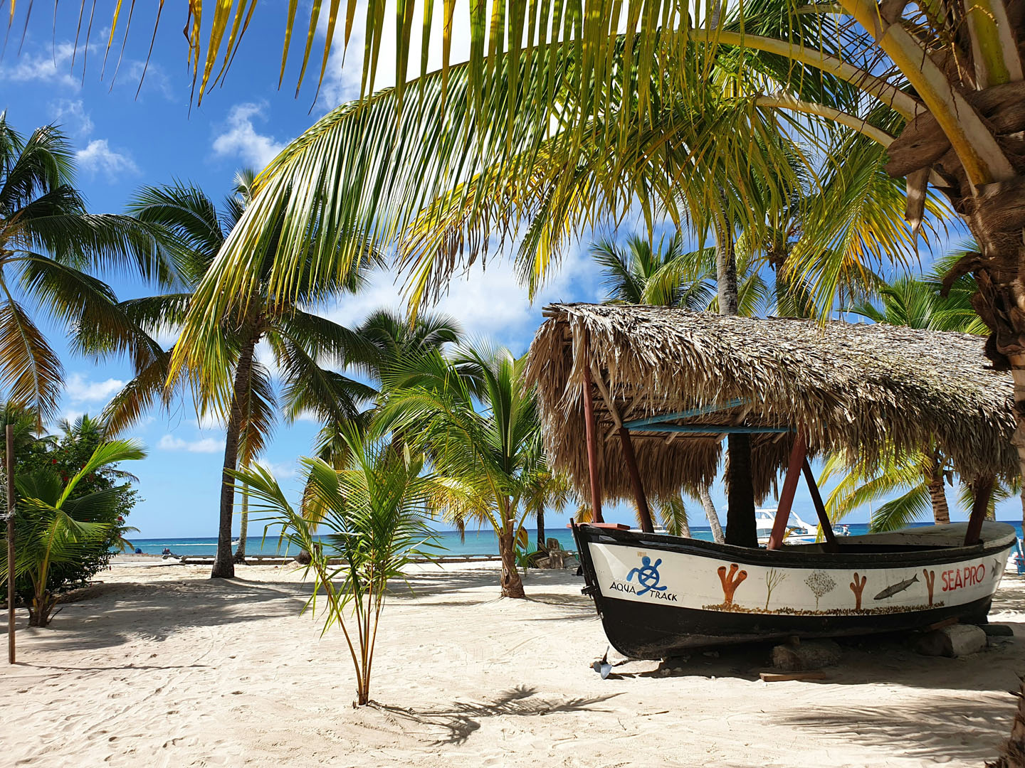 Isla Saona