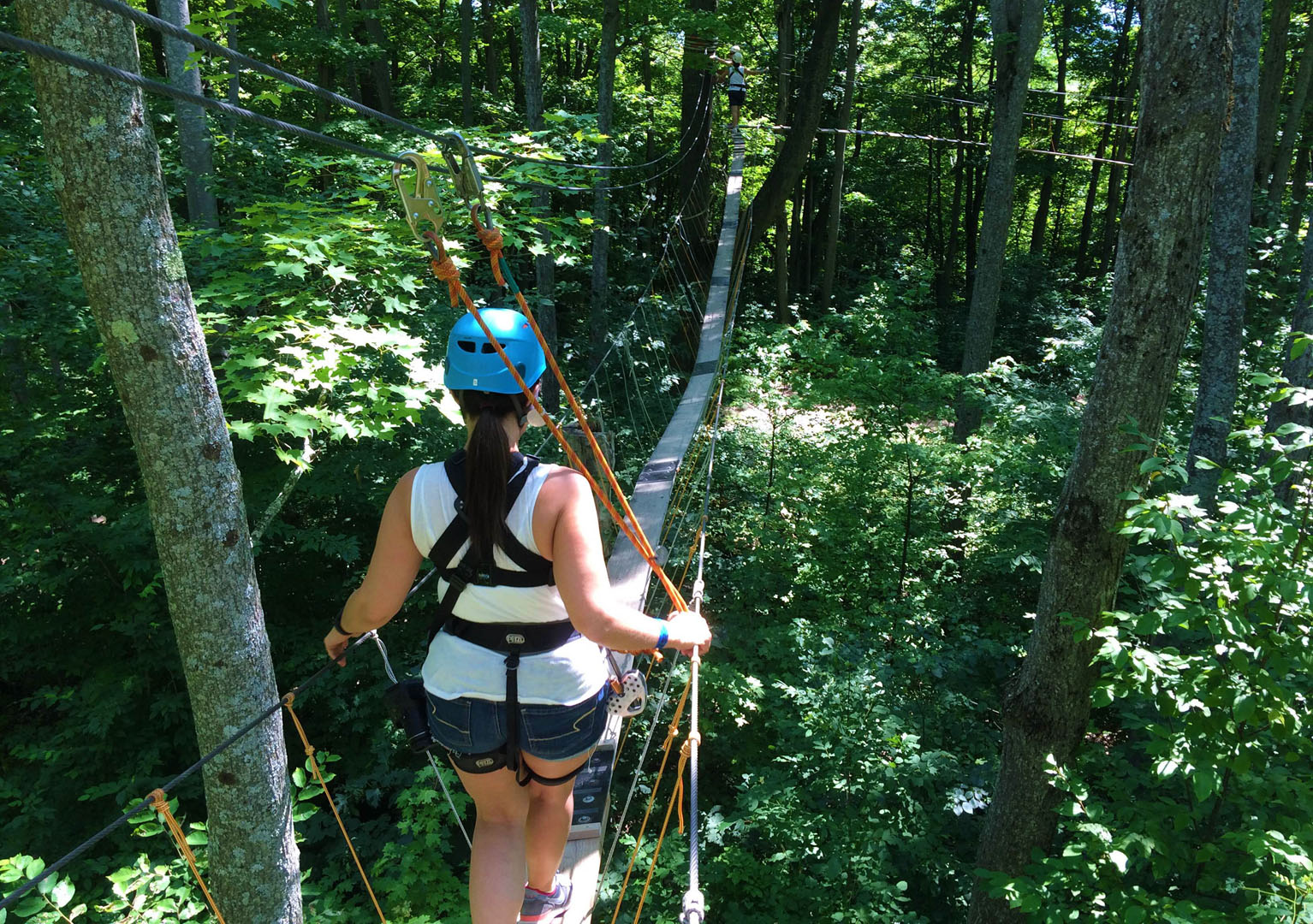 Treetop Canopy Tour