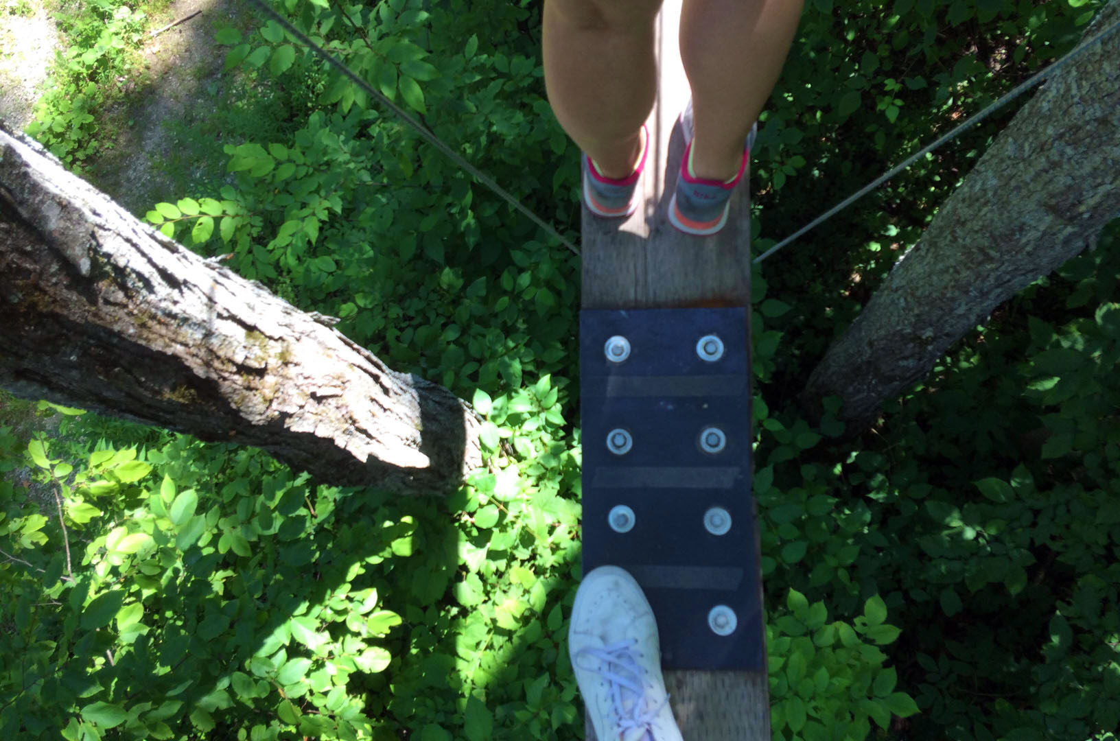 Treetop Canopy Tour
