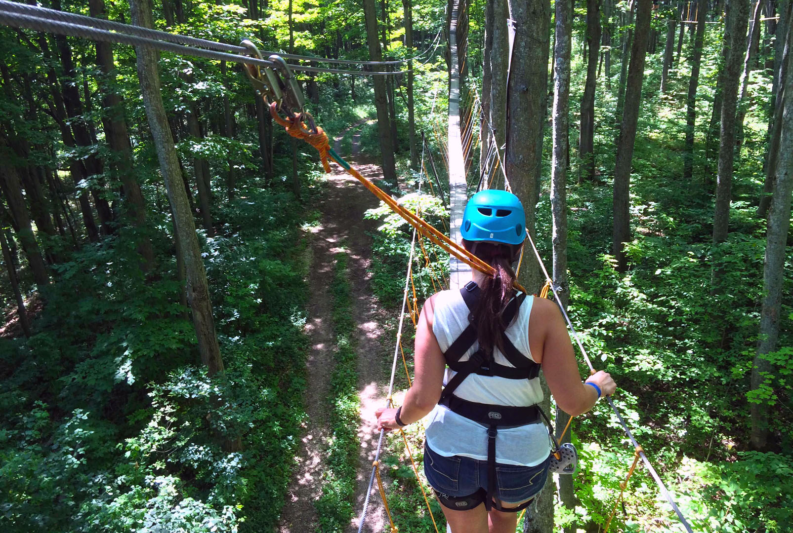Treetop Canopy Tour
