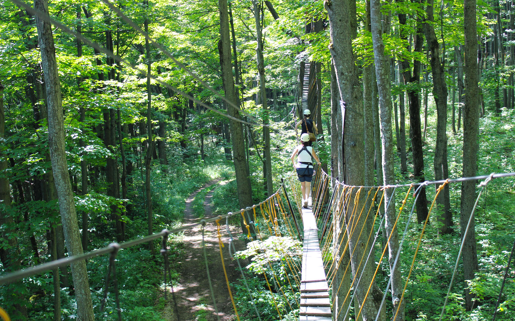 Treetop Canopy Tour