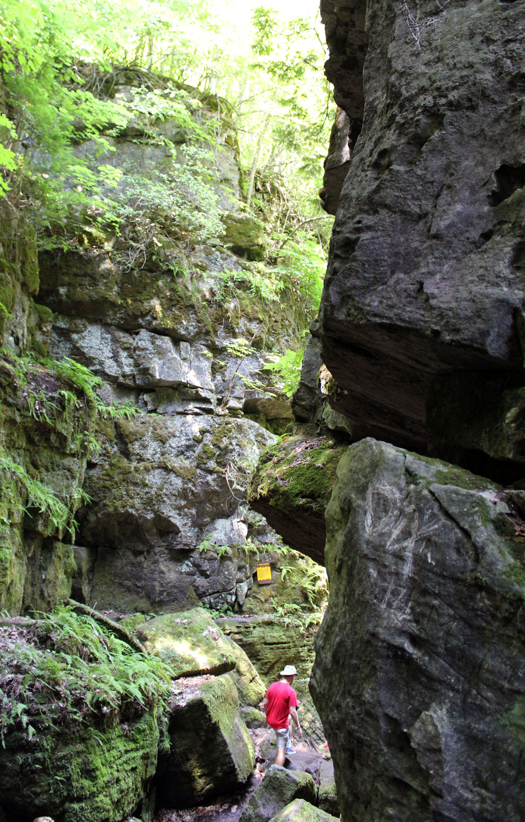 Scenic Caves Nature Adventures