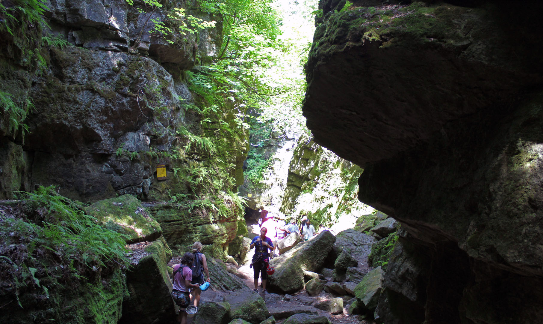 Scenic Caves Nature Adventures