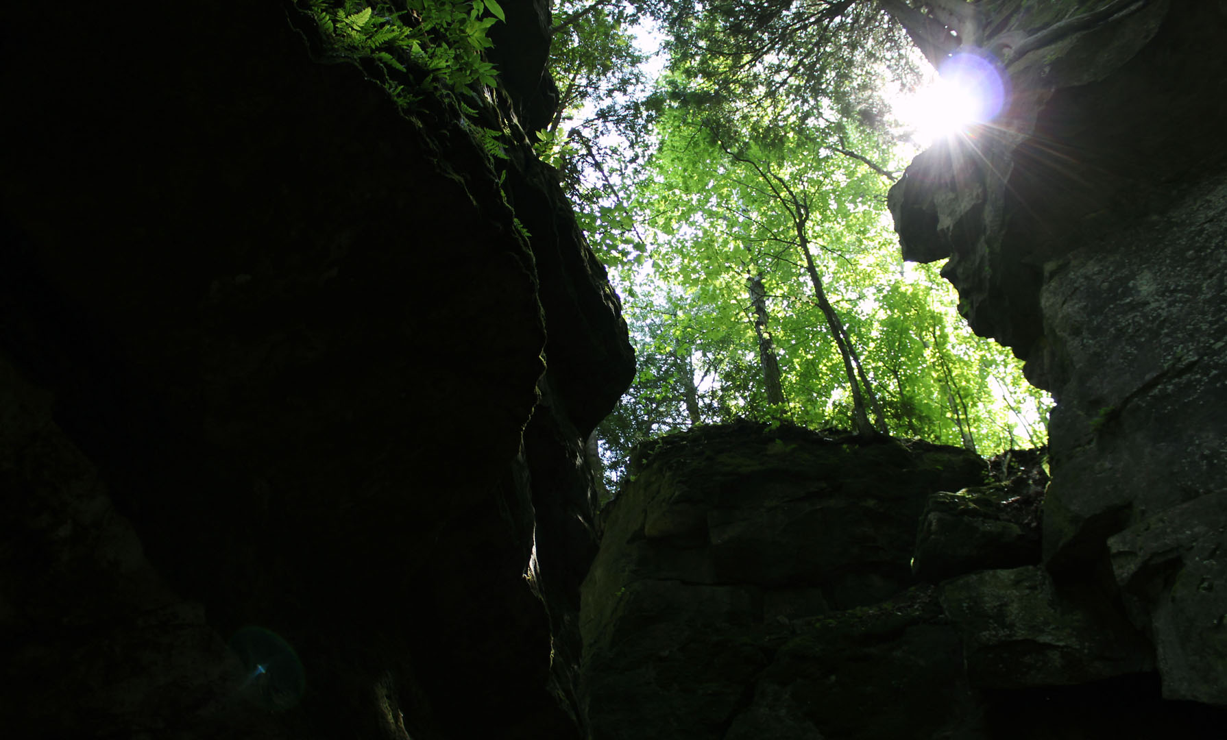 Scenic Caves Nature Adventures