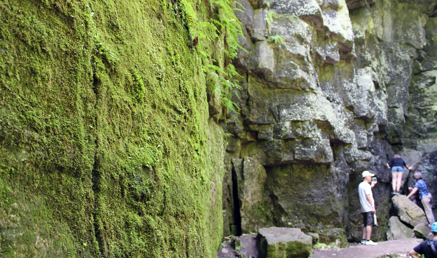 Scenic Caves Nature Adventures