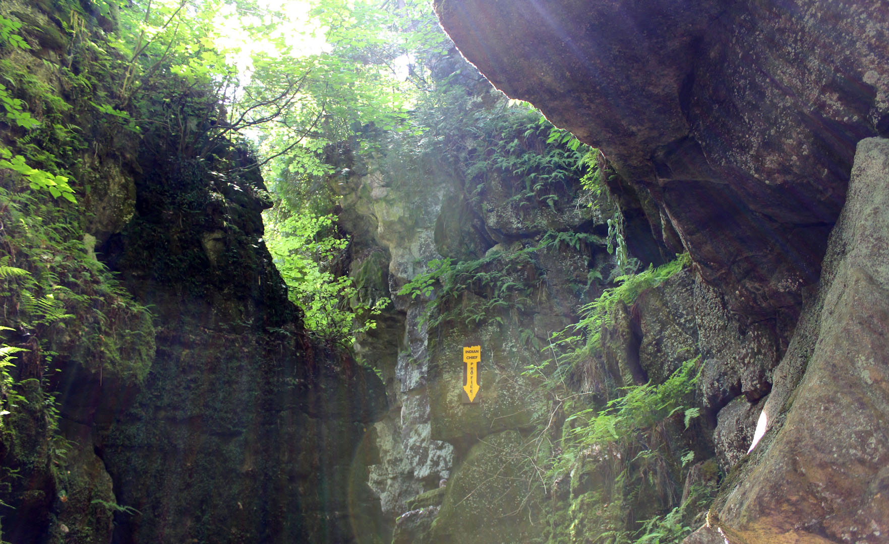 Scenic Caves Nature Adventures